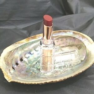 L'Oreal Colour Riche Plumping Lipstick Shade 108 Name Wild Fig Plump